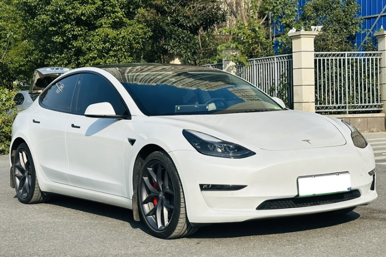 特斯拉 Model 3 2021款 Performance高性能全轮驱动版车身外观6004