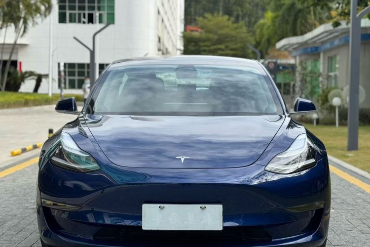 特斯拉 Model 3 2020款 改款 长续航后轮驱动版车身外观6008