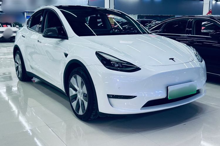 特斯拉 Model Y 2021款 标准续航后驱版车身外观6002