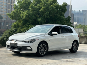 大众 高尔夫 2021款 280TSI DSG Pro