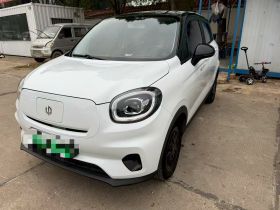 零跑汽车 零跑T03 2023款 310轻享版