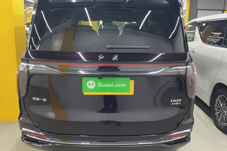 红旗HQ9 PHEV 2024款 2.0T 四驱豪华版车身外观6004
