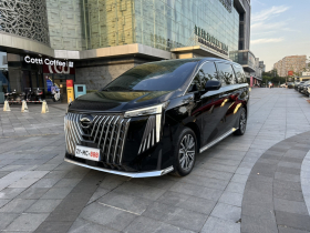 广汽传祺 传祺M8 2024款 大师系列 400T 尊贵版