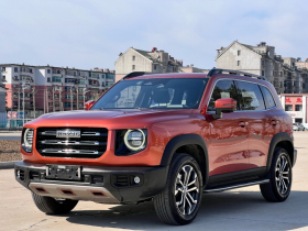 哈弗大狗 2021款 1.5T DCT两驱马犬版