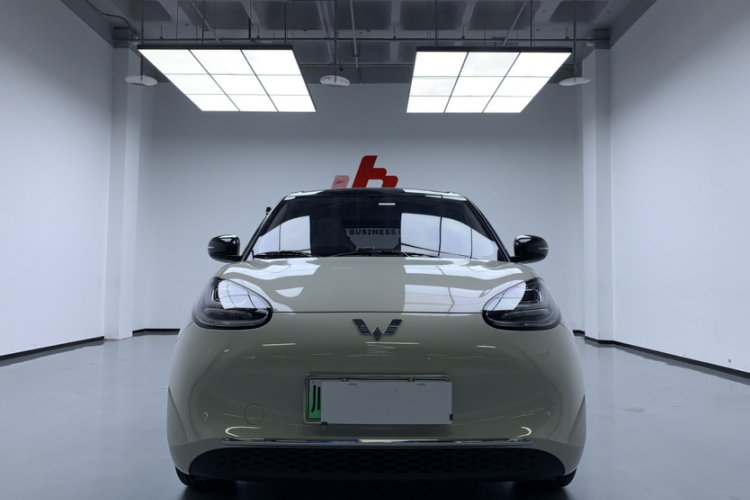 五菱汽车 五菱缤果 2024款 333km 悦享款车身外观6006