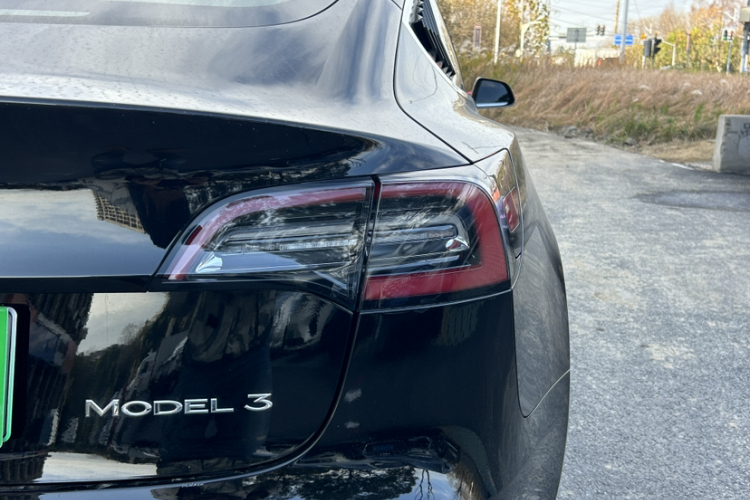 特斯拉 Model 3 2020款 标准续航后驱升级版车身外观6003