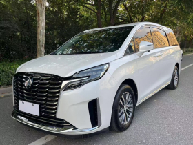 别克GL8 2023款 ES陆尊 舒适型