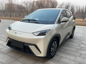 比亚迪 海鸥 2023款 活力版