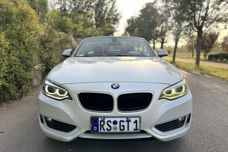 宝马2系(进口) 2015款 218i 敞篷轿跑车局部细节24