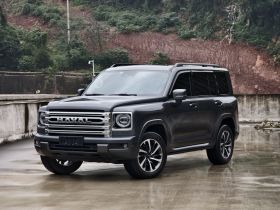 哈弗H9 2024款 2.0T 汽油四驱极境版