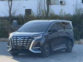 腾势D9 2023款 DM-i 945 公务版