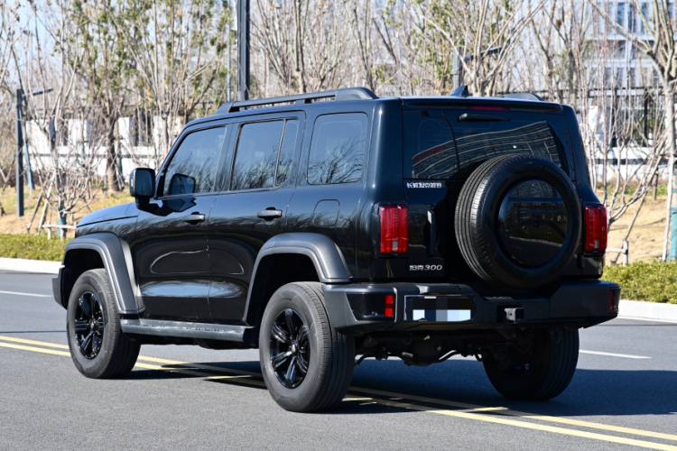 坦克300 2024款 2.0T 征服者车身外观6005