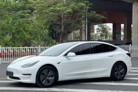 特斯拉 Model 3 2020款 改款 长续航后轮驱动版