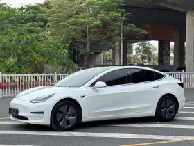 特斯拉 Model 3 2020款 改款 长续航后轮驱动版