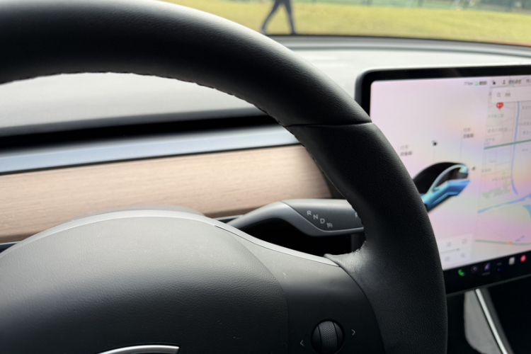 特斯拉 Model 3(进口) 2019款 标准续航后驱升级版(52度)局部细节18