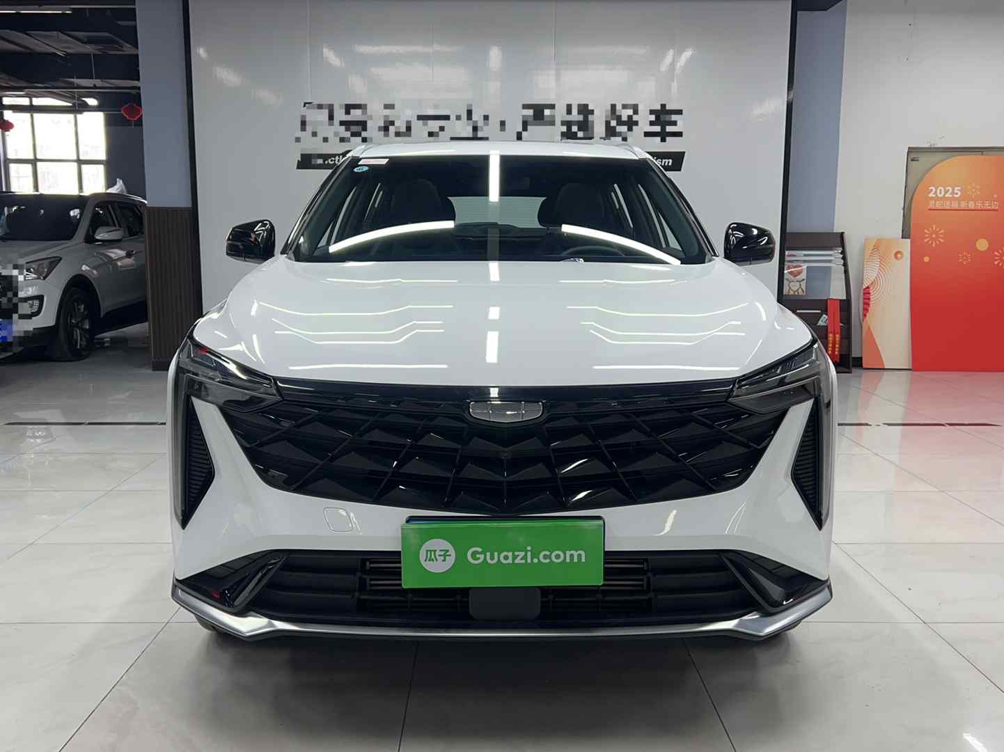 吉利汽车 博越 2024款 1.5TD 龙腾版(2)