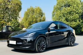 特斯拉 Model Y 2021款 Performance高性能全轮驱动版