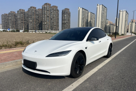 特斯拉 Model 3 2023款 后轮驱动版