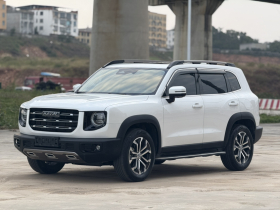 哈弗大狗 2021款 改款 1.5T DCT两驱马犬版