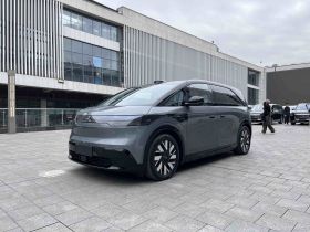 极氪MIX 2025款 长续航智驾版