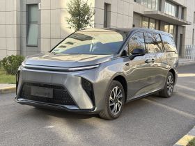 上汽大通MAXUS 大家9 2024款 超混 超长续航森林版 七座