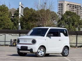 吉利银河 2024款 熊猫mini 200km 龙腾PRO版