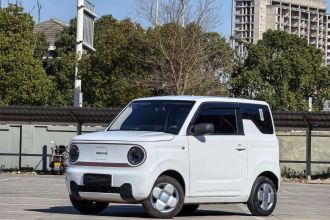 吉利银河 2024款 熊猫mini 200km 龙腾PRO版