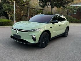 岚图汽车 岚图知音 2024款 超长续航智享版