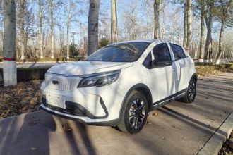 吉利几何 EX3 功夫牛 2021款 坚强牛牛