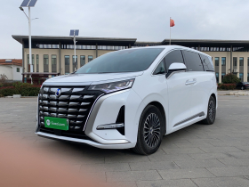 腾势D9 2022款 DM-i 970 四驱旗舰型