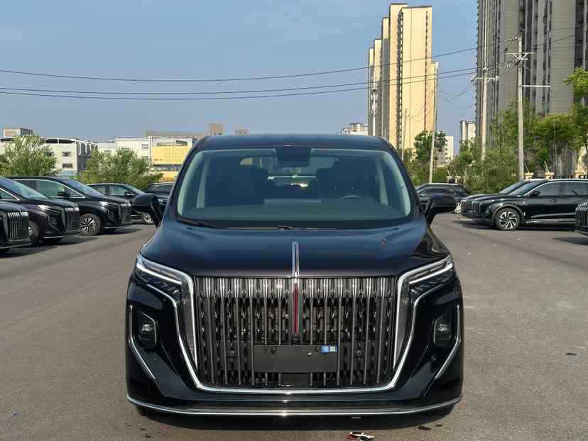 红旗HQ9 PHEV 2024款 2.0T 四驱商务版(2)