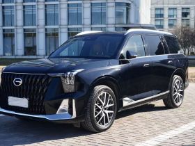 广汽传祺 传祺ES9 2024款 PHEV 143km Max