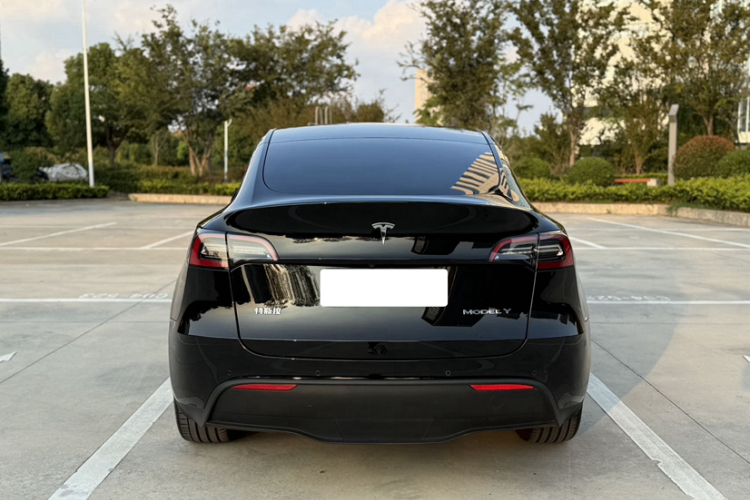 特斯拉 Model Y 2021款 标准续航后驱版车身外观6006