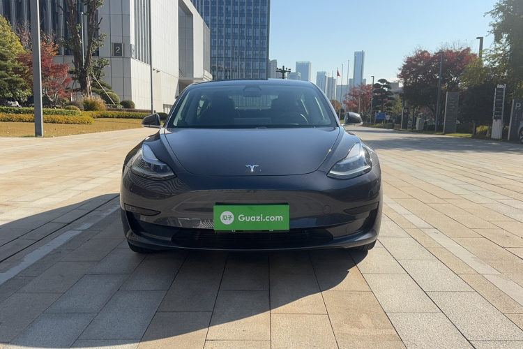 特斯拉 Model 3 2019款 标准续航后驱升级版车身外观6001