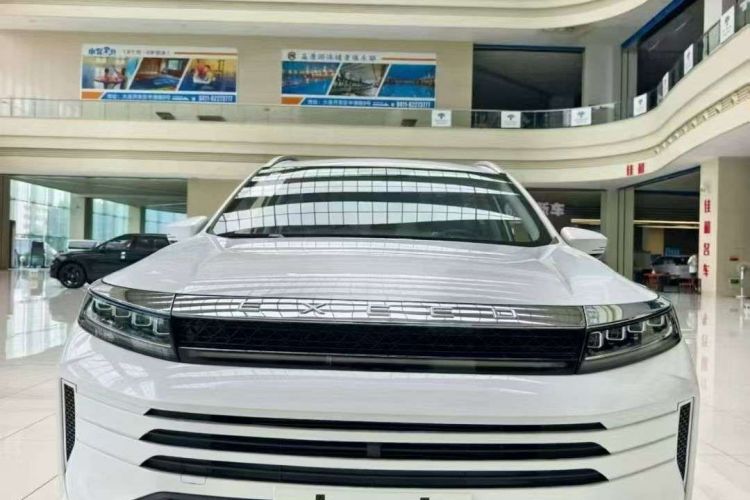 星途追风 2024款 1.5T CVT好事花生版车身外观6005