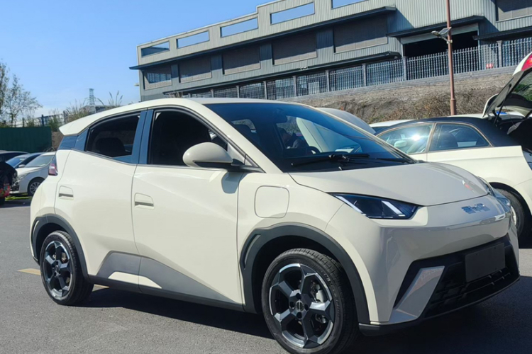 比亚迪 海鸥 2023款 自由版车身外观6005