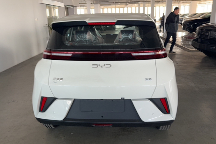 比亚迪 海鸥 2025款 智驾版 305km 活力版车身外观6005