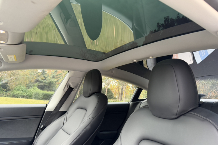 特斯拉 Model 3(进口) 2019款 标准续航后驱升级版(52度)中控内饰7004