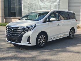 广汽传祺 传祺M8 2020款 领航款 390T 尊贵版