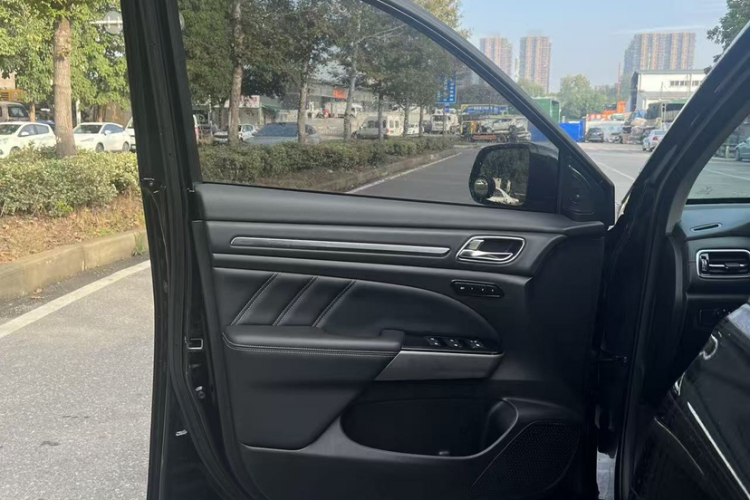 广汽传祺 传祺GS8 2020款 390T 两驱豪华智联版（七座）中控内饰7014