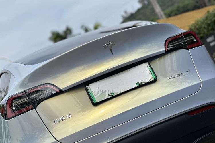 特斯拉 Model Y 2021款 标准续航后驱版车身外观6006