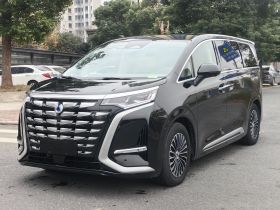 腾势D9 2022款 DM-i 1040 尊贵型