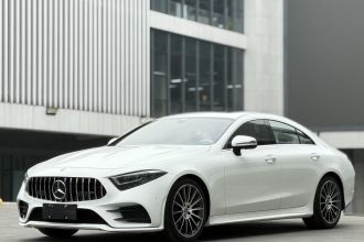 奔驰CLS 2021款 CLS 300 动感型