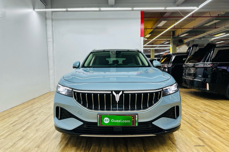 岚图汽车 岚图FREE 2021款 四驱标准增程专属豪华套装车身外观6003