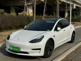特斯拉 Model 3 2021款 改款 标准续航后驱升级版 3D1