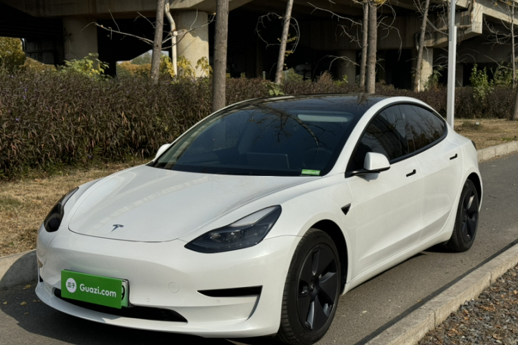 特斯拉 Model 3 2021款 改款 标准续航后驱升级版 3D1车身外观1