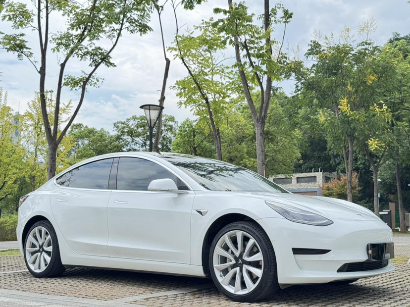 特斯拉 Model 3 2019款 标准续航后驱升级版