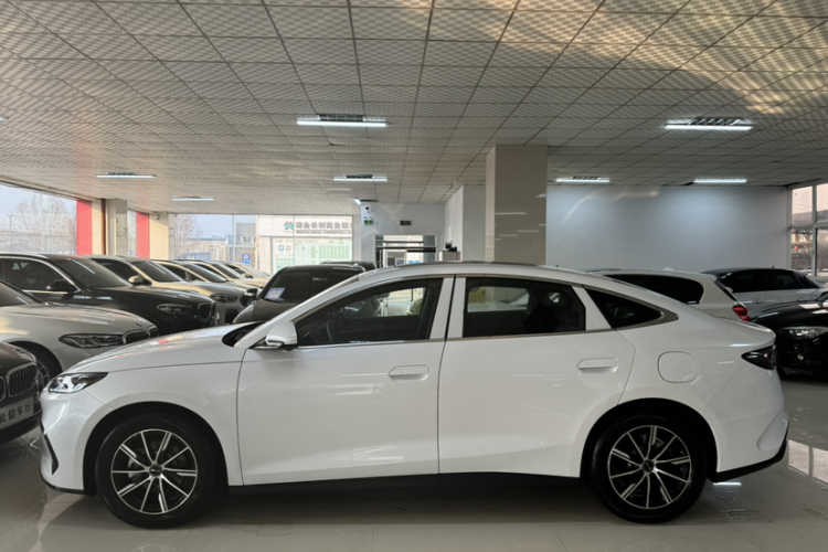 比亚迪 海豹06新能源 2024款 DM-i 120KM尊享型车身外观6004