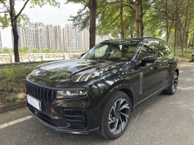 领克09 EM-P 2021款 2.0T PHEV Halo 六座