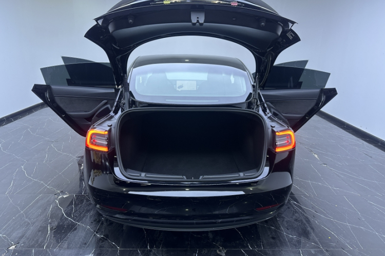 特斯拉 Model 3 2021款 Performance高性能全轮驱动版局部细节23